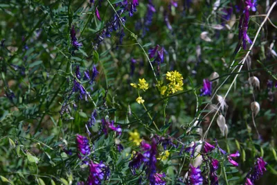 DSC_6149 (Large).JPG